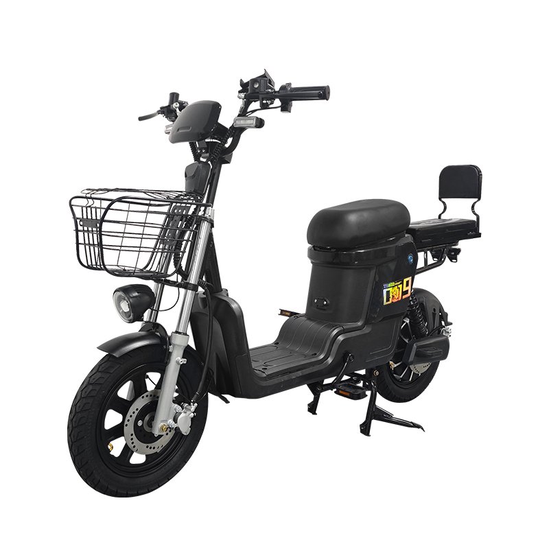 Large Seat Electric Home Delivery Electric Bicycle 400w/800w Electric City bike E bike Motorcycle