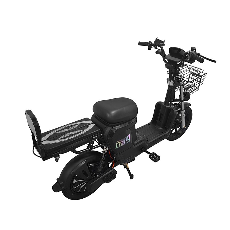 Large Seat Electric Home Delivery Electric Bicycle 400w/800w Electric City bike E bike Motorcycle