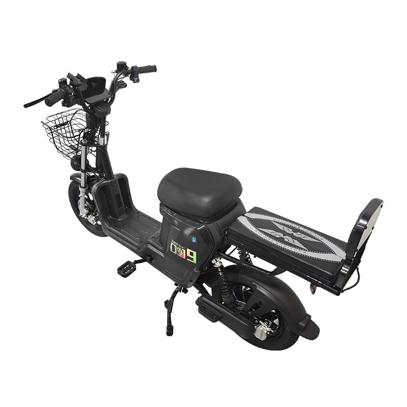 Large Seat Electric Home Delivery Electric Bicycle 400w/800w Electric City bike E bike Motorcycle