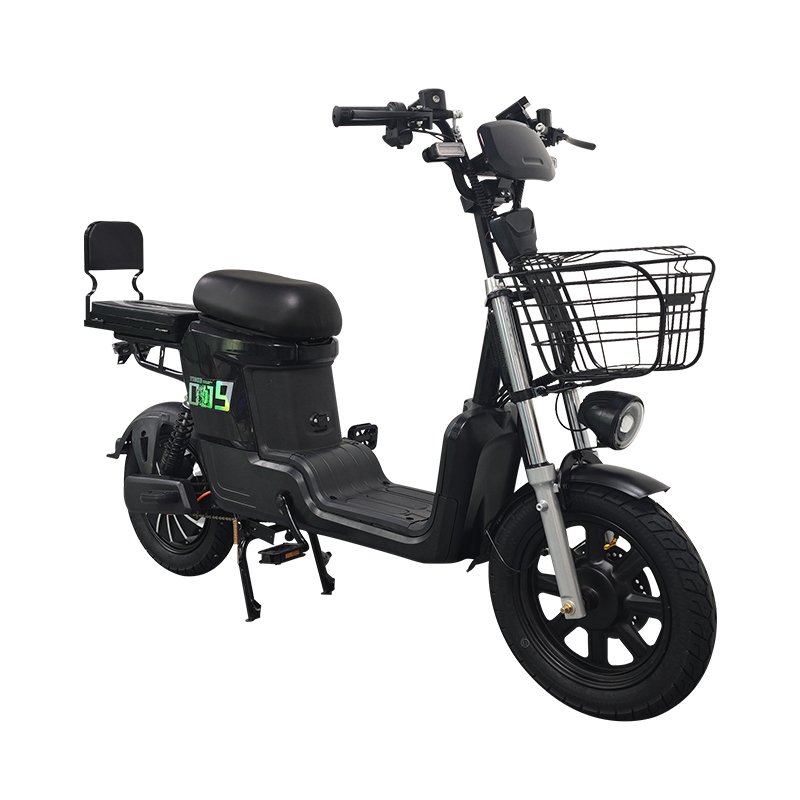 Large Seat Electric Home Delivery Electric Bicycle 400w/800w Electric City bike E bike Motorcycle