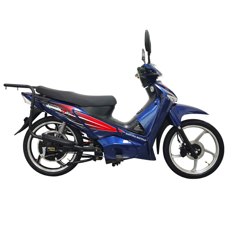 New style racing Motorcycle 800w City bike E bike electric bicycle