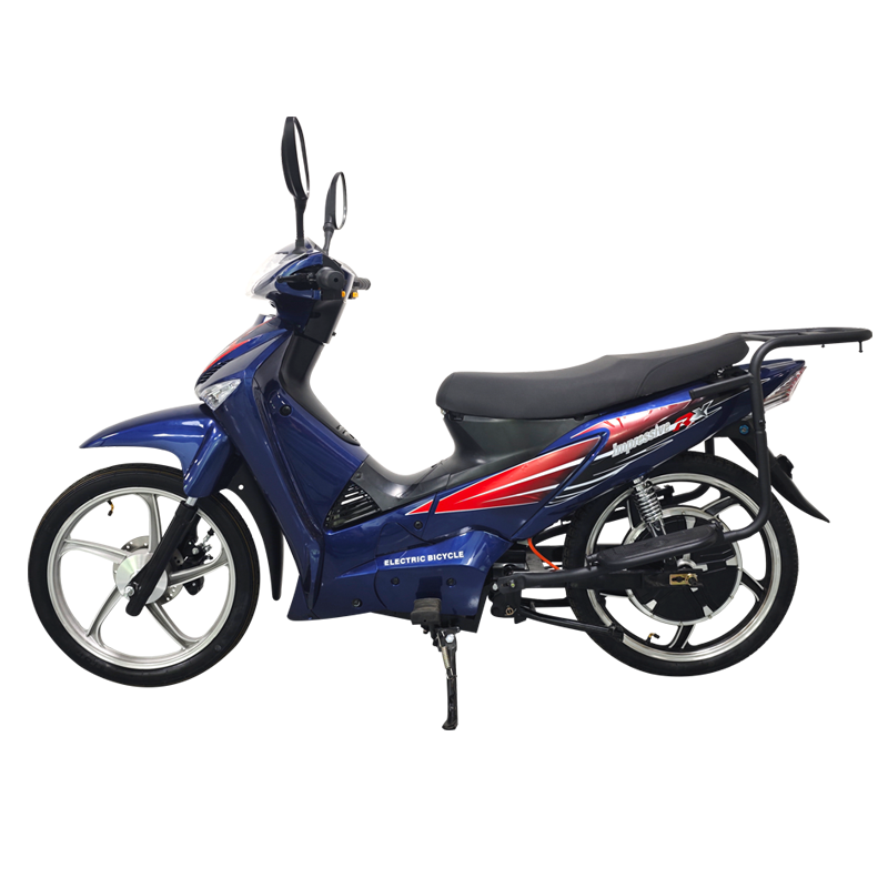 New style racing Motorcycle 800w City bike E bike electric bicycle