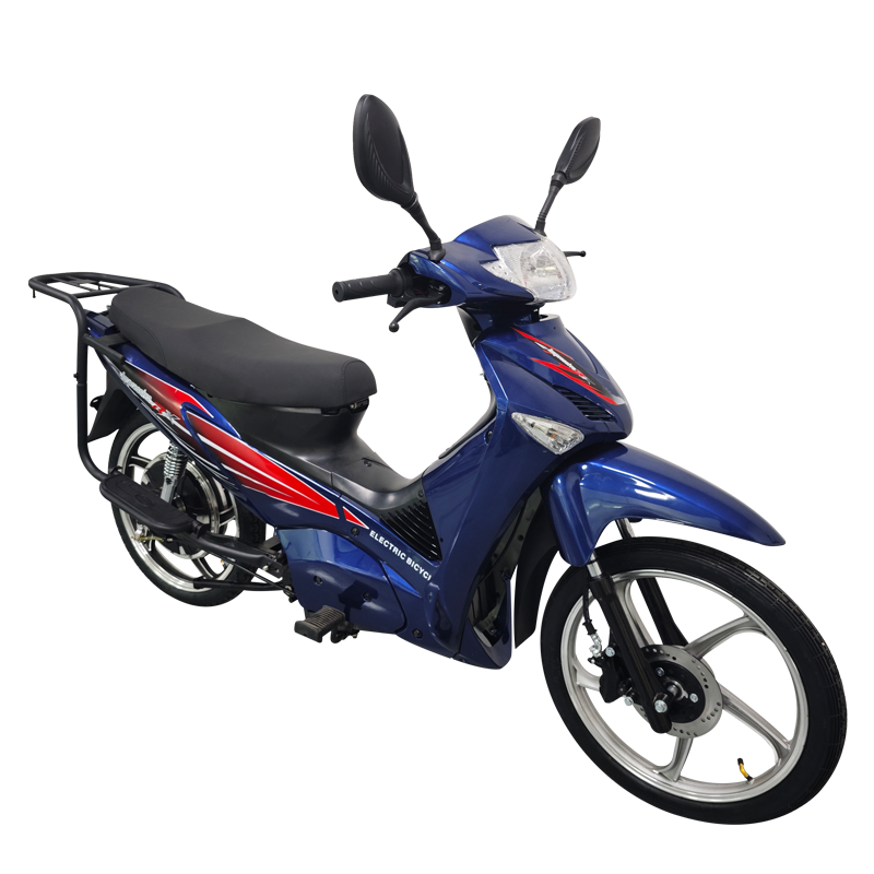 New style racing Motorcycle 800w City bike E bike electric bicycle