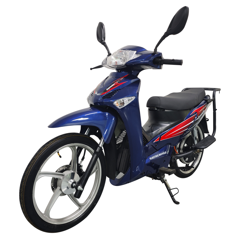 New style racing Motorcycle 800w City bike E bike electric bicycle