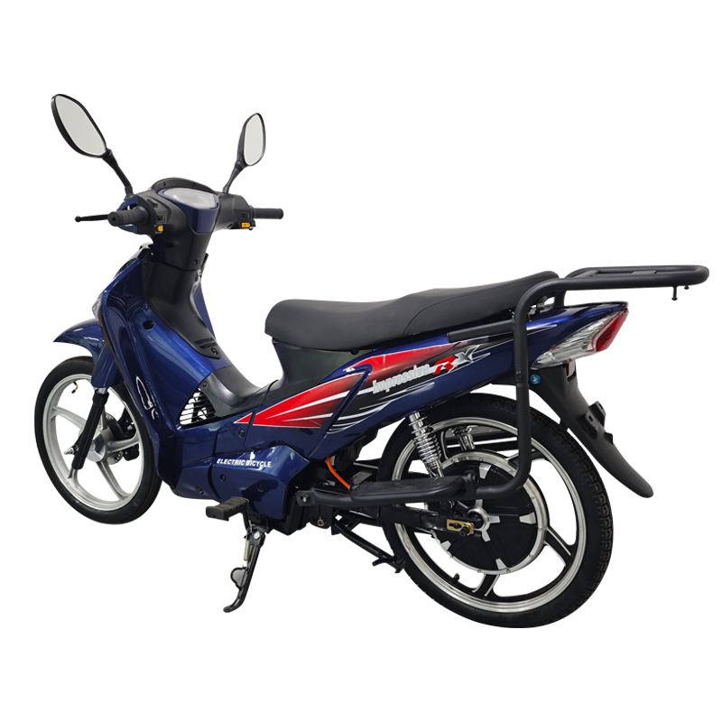 New style racing Motorcycle 800w City bike E bike electric bicycle