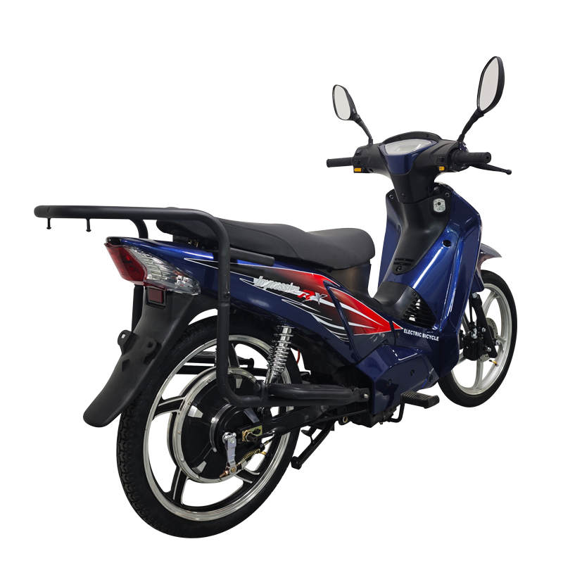 New style racing Motorcycle 800w City bike E bike electric bicycle