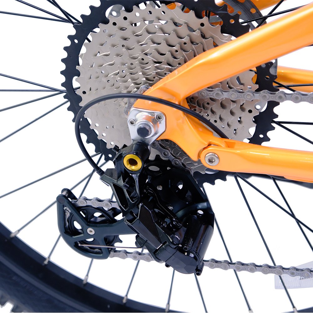 Latest design promotional 1000w mid drive motor electric bike frame 48v 350w 29" electric mountain bike