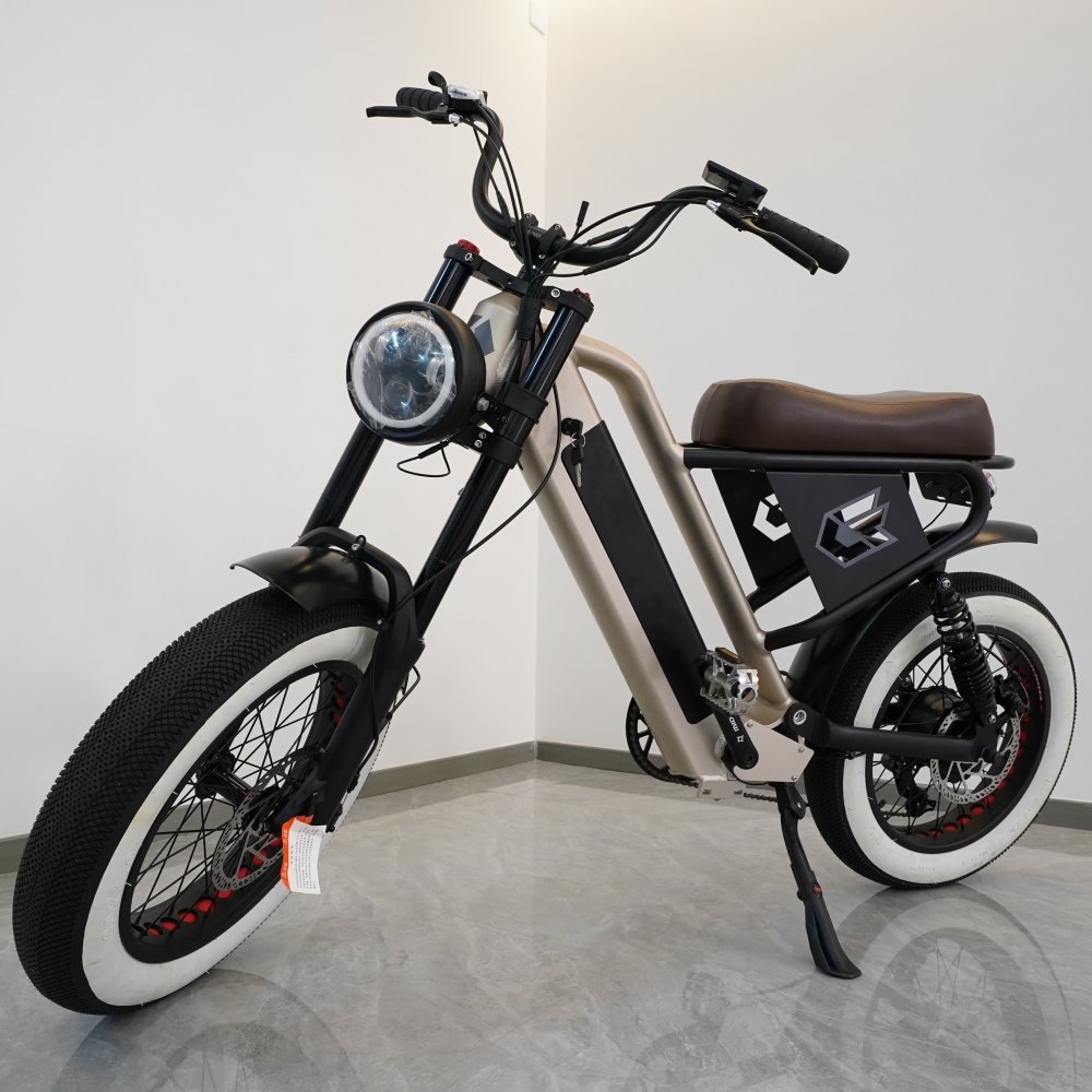 Recreational 20 inch Tires 500/750W OEM Ebike 48V Lithium Battery Electric City Bike Bicycle