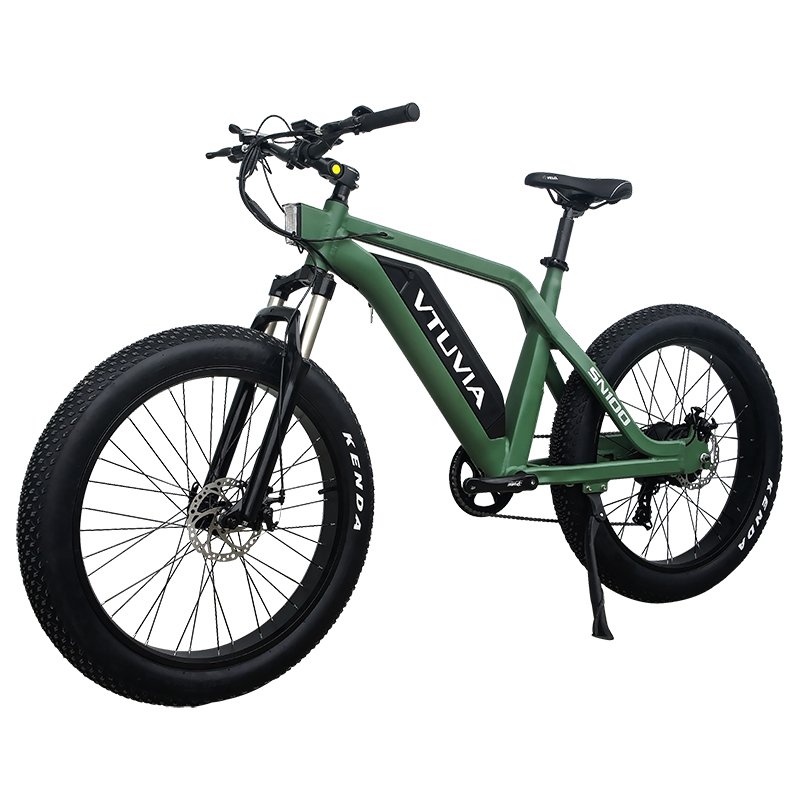 VTUVIA CE certification 36V 48v 250W 750w fat tire electric motorcycle rear motor ebike electric mountain bike MTB