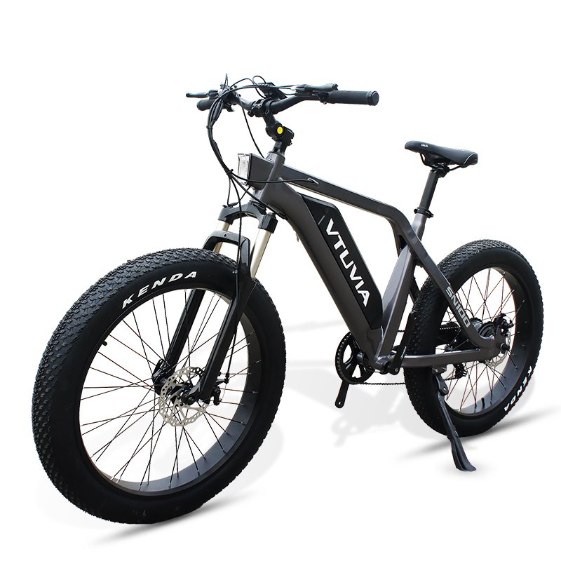 VTUVIA CE certification 36V 48v 250W 750w fat tire electric motorcycle rear motor ebike electric mountain bike MTB