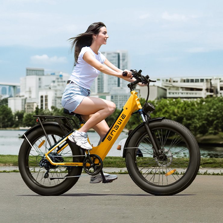 US Stock ENGWE E26 ST 250W Electric City Bicycle 16Ah Lithium Battery E-bike 26" Two-wheeled Electric Bicycle