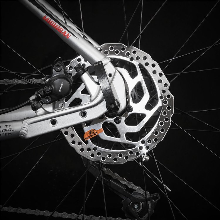 JOYKIE new large wheel ebike 250w mid drive 29er mtb electric mountain bike with maxxis tire