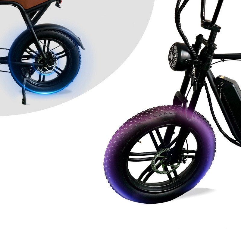 20 Inch Fat Tire Electric Mountain Bike 250W Mechanical Disc Brake Mountain Ebike 7 Speed Electric Bicycle