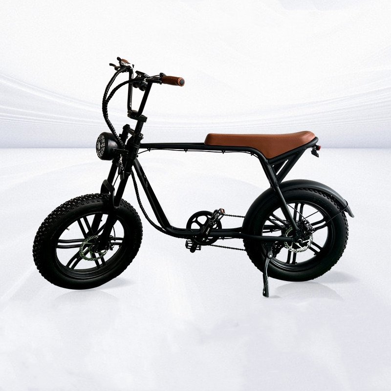 20 Inch Fat Tire Electric Mountain Bike 250W Mechanical Disc Brake Mountain Ebike 7 Speed Electric Bicycle