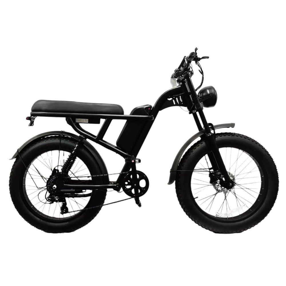24inch fat tire bike e-bike dirtbike,full suspension fat bike fatbike Ebike For The Adults