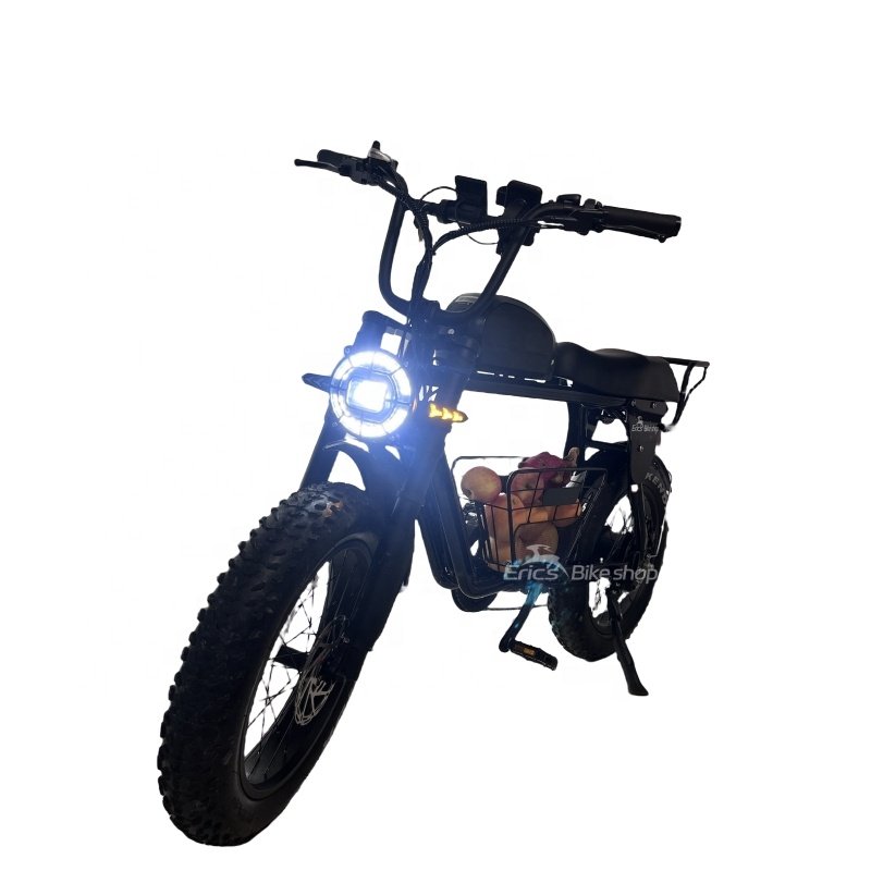 Cheap Customized Hydraulic Brake Pad High Class Sports 750w Mountain Bike Fat Tire Adult Electric Bicycle