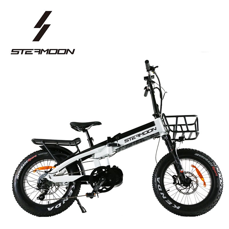 Eagle in wind 20 inch 1000W folding electric mountain bike lithium battery foldable electric bicycle ebike with mid drive motor
