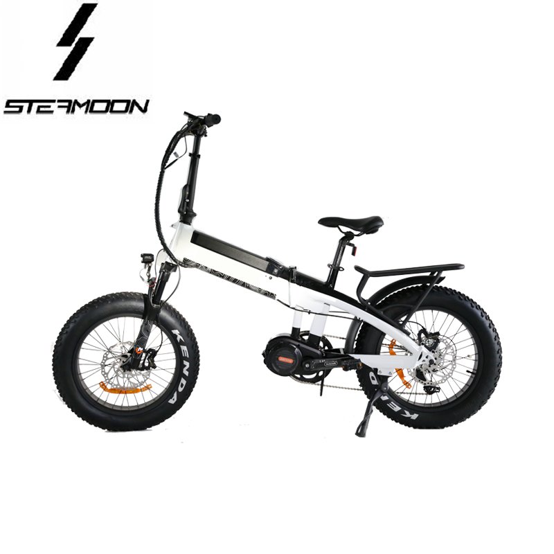 Eagle in wind 20 inch 1000W folding electric mountain bike lithium battery foldable electric bicycle ebike with mid drive motor
