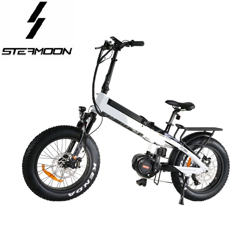 Eagle in wind 20 inch 1000W folding electric mountain bike lithium battery foldable electric bicycle ebike with mid drive motor