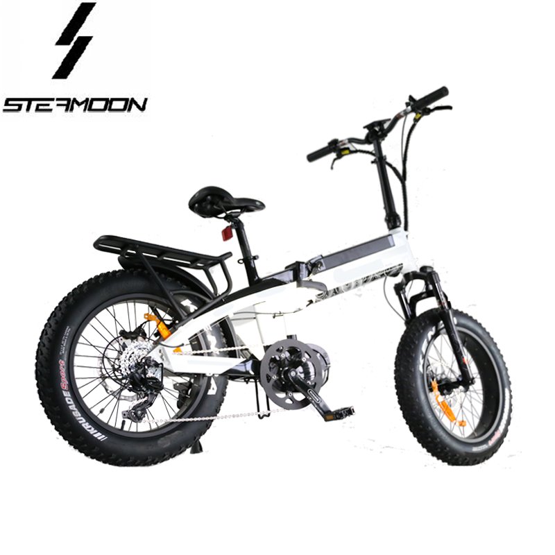 Eagle in wind 20 inch 1000W folding electric mountain bike lithium battery foldable electric bicycle ebike with mid drive motor