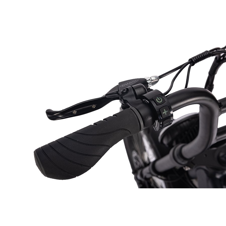 Fast Delivery 20INCH Electric Bicycle Electric Fat Tire Bike Fat Tire Bike Double Disc Brake Vintage Mountain Bike