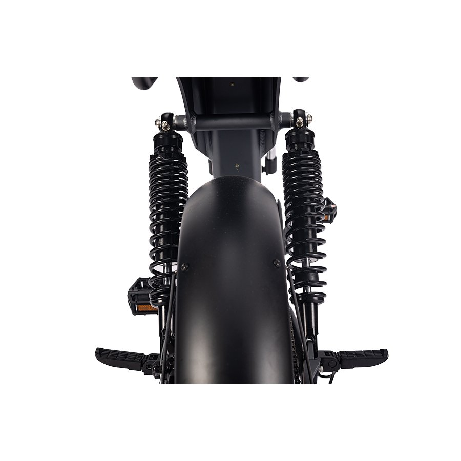 Fast Delivery 20INCH Electric Bicycle Electric Fat Tire Bike Fat Tire Bike Double Disc Brake Vintage Mountain Bike