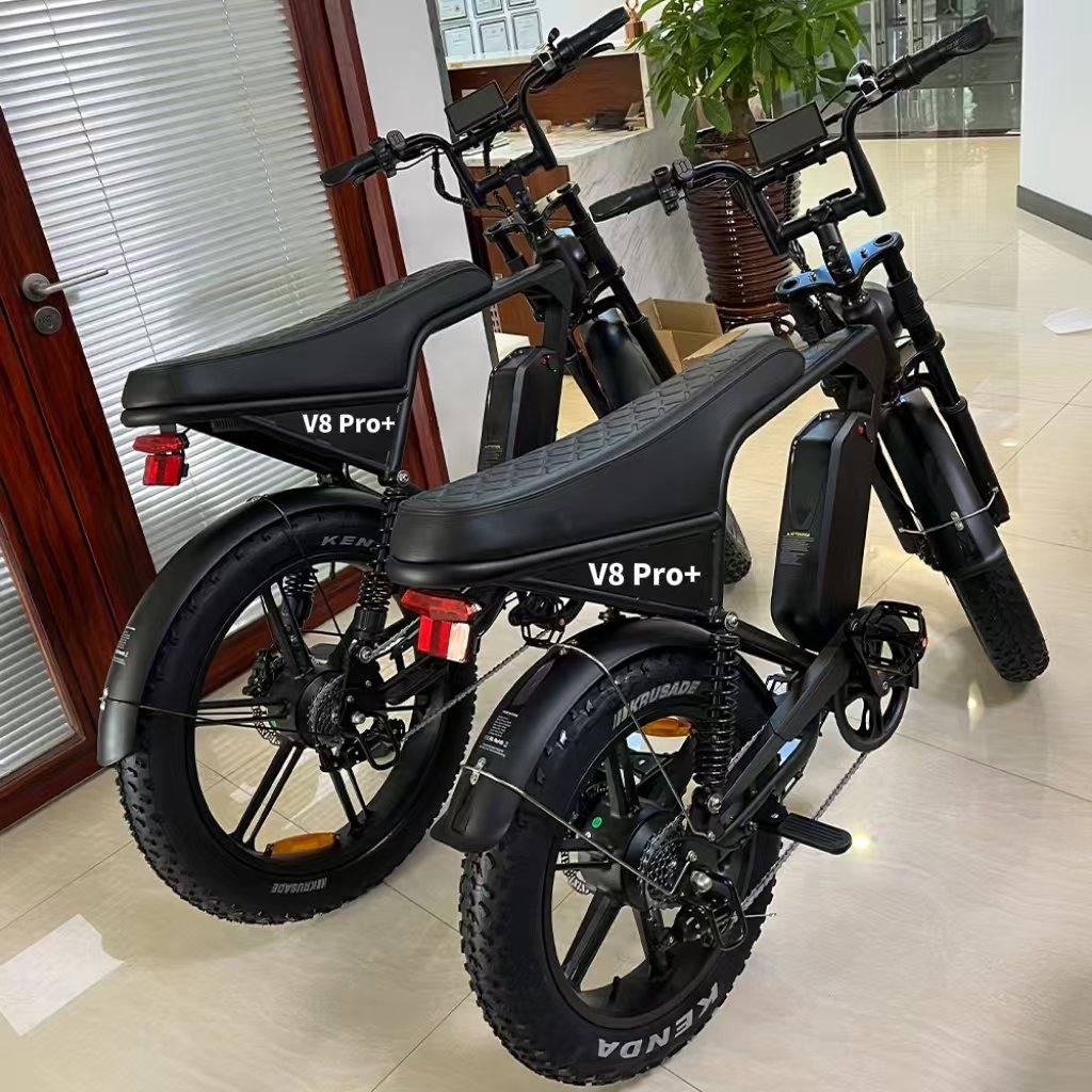 V8 Pro Plus 250W 48V 25km/h Speed 60km Range Lithium 24 Inch Electric Mountain Bike Big Tire Fat E Bikes Adults