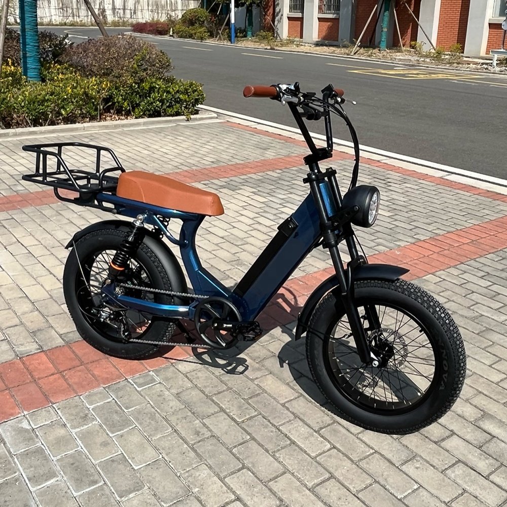EU US Hot Selling All Terrain Electric Bike Fat Electric City Bike Lithium Battery 20 Inch Fat Wheel Electric Fat Tire Bike