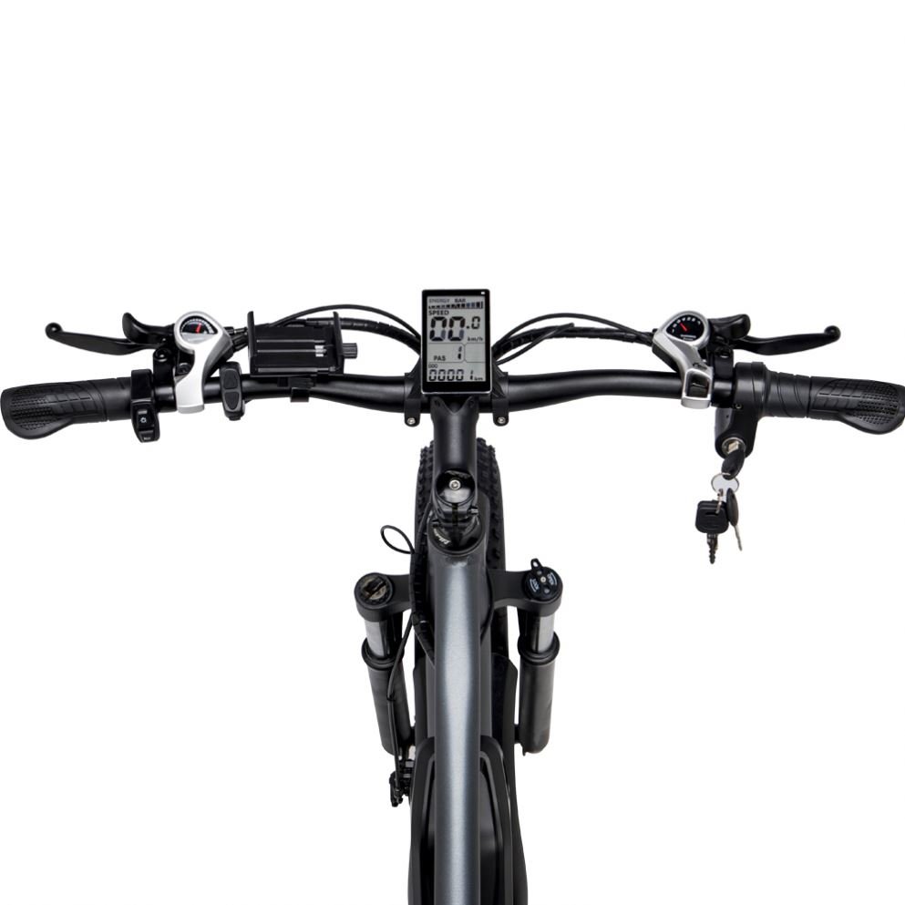 EU Stock Free shipping e-bikes ebike adults bicycle electric city ebike mountain fat tire bike