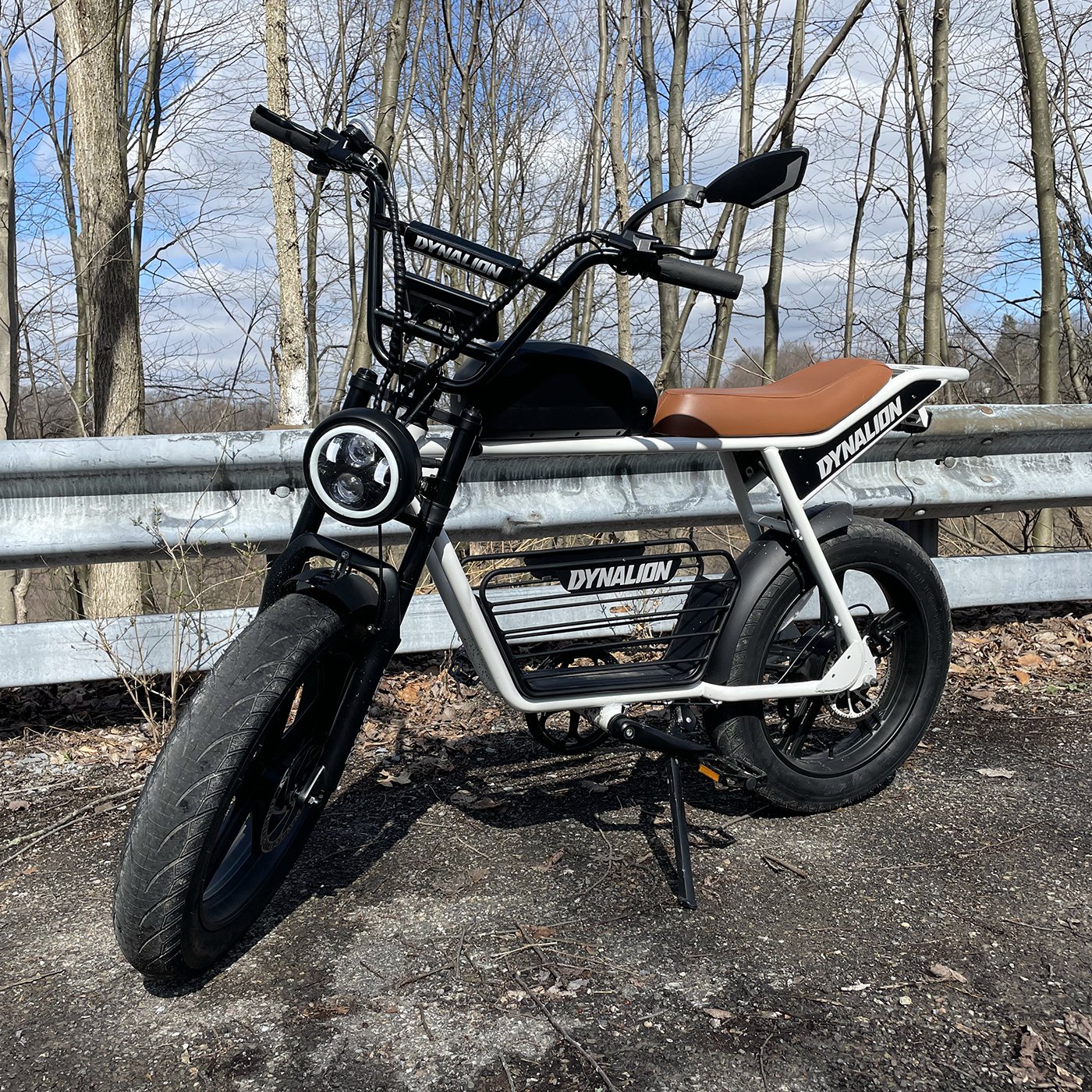Dynabike 48V 1000W Fat Tire Electric Bike 25MPH 48V 16Ah Removable Li-Battery Ebike 7-Speed Mountain Electric Dirt Bike