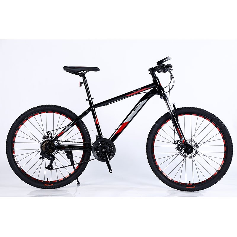 China factory 24 speed 26/27.5/29 inch fat bicycle big tire mountain bike adult