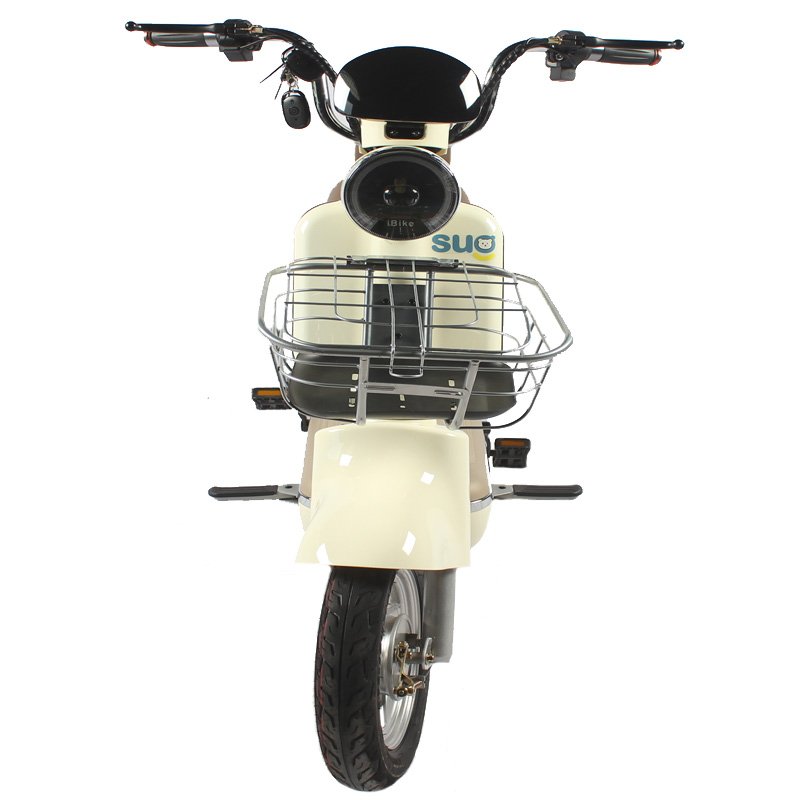 Factory Direct Price 350W Motor 3-speed 20KM range Electric bicycle Electric two-wheeler for recreational riding