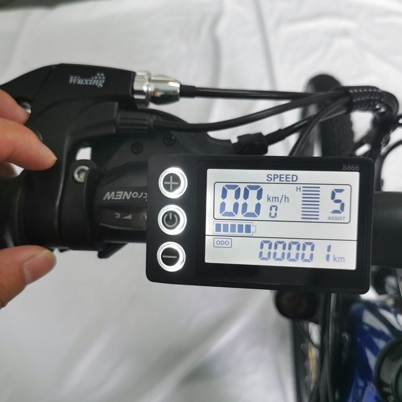 battery bike electric adult mountain e bike 1000w electric full suspension bicicleta eletrica electric bike 48v 250w