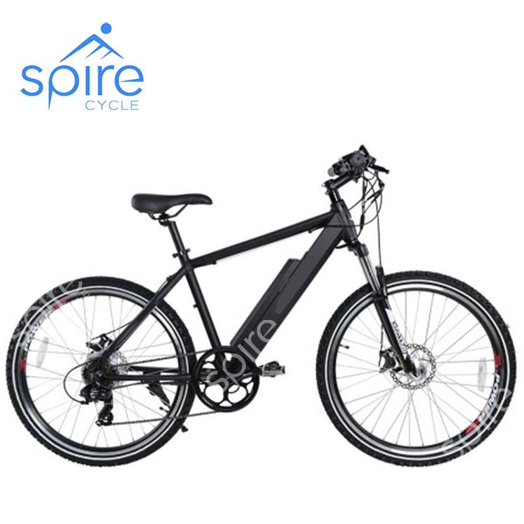 Hot sale coolest mountain bicycle electric bike
