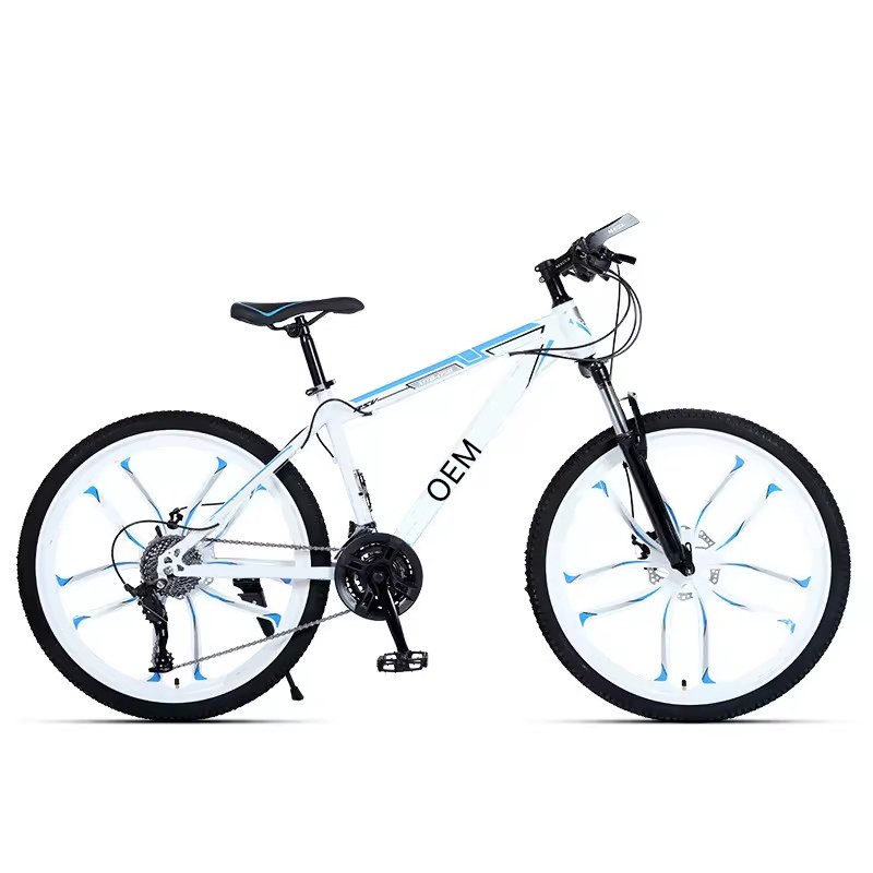 Ready in stock Aluminium Disc Brake Fitness shaping Aerobic exercise variable speed mountain bikes bik