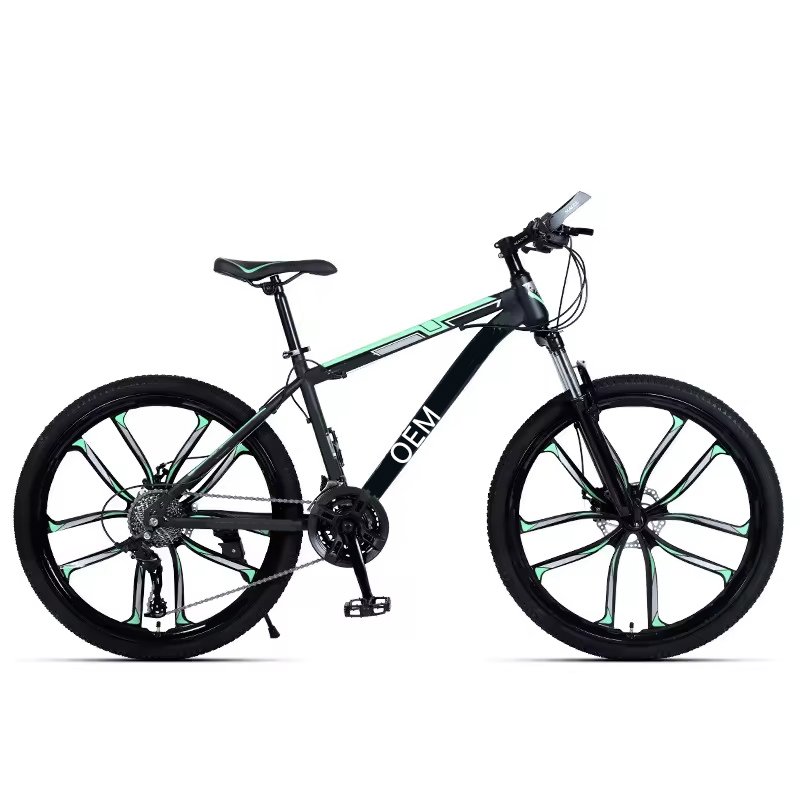 Ready in stock Aluminium Disc Brake Fitness shaping Aerobic exercise variable speed mountain bikes bik
