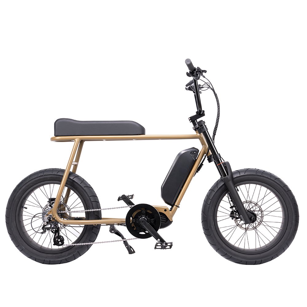 W Mario Retro-Oli Ebike mid drive Motor 250w E -Bik Vee tires Electric Bicycle