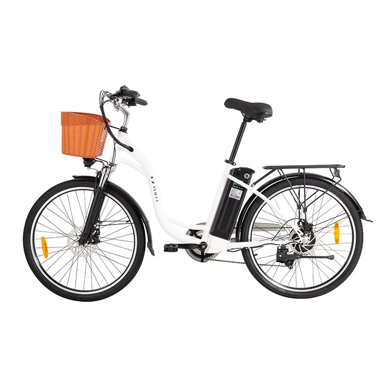 DYU C6 350W motor 36V 12.5AH battery 26 inch Big wheel retro style electric city bike