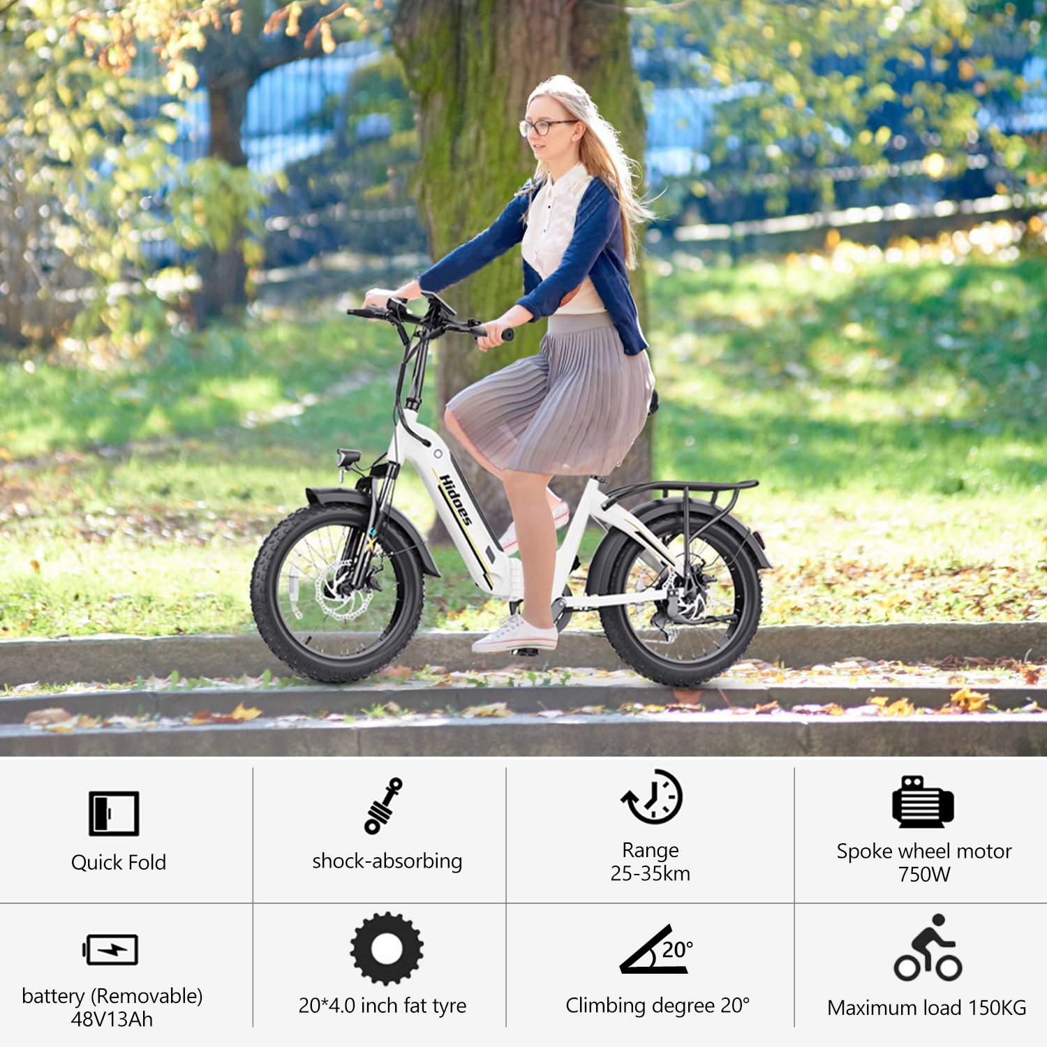 US Stock Fat Tire Folding E Bike Big Wheel Electric City Bike Hidoes BF1 Adult Bike Electric with 48v Llithium Battery