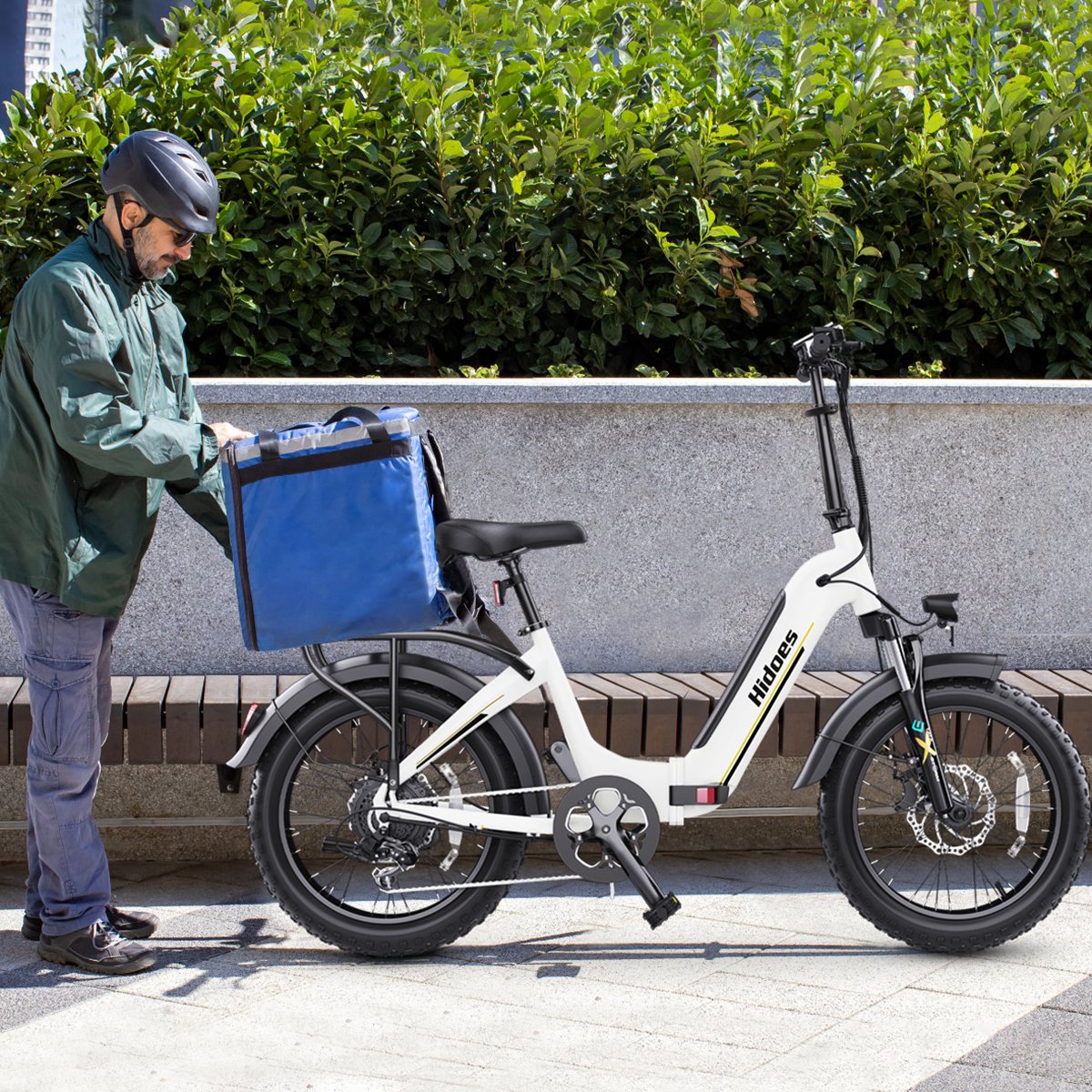 US Stock Fat Tire Folding E Bike Big Wheel Electric City Bike Hidoes BF1 Adult Bike Electric with 48v Llithium Battery
