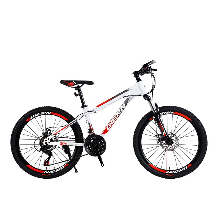 Competitive price steel mountain bicycle suspension fork adult mtb bicycles 21 speed pink mountain bike