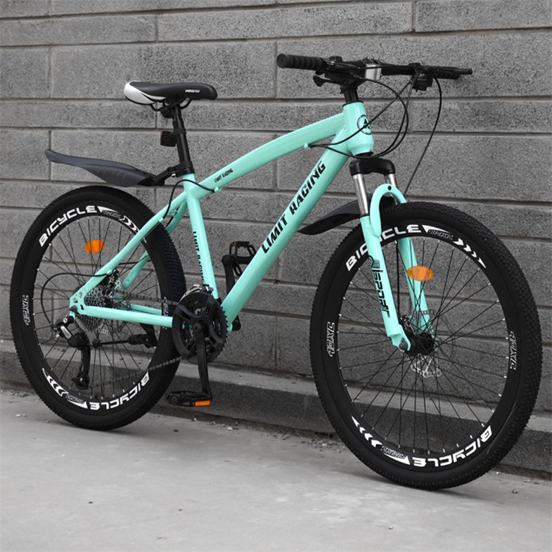 Adult E-bike Bicycle mountain bike,21 speeds mountain bike bicycle