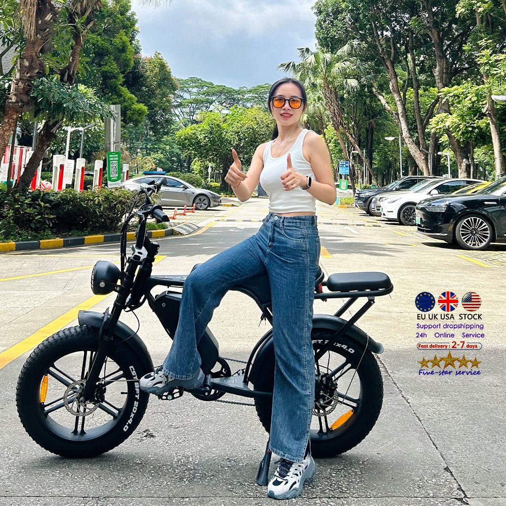 20 inch Electric Bicycle OUXI V8 250W/750w/1000W Electric Bike Electric Mountain bike City All Terrain E-bike electr bike price