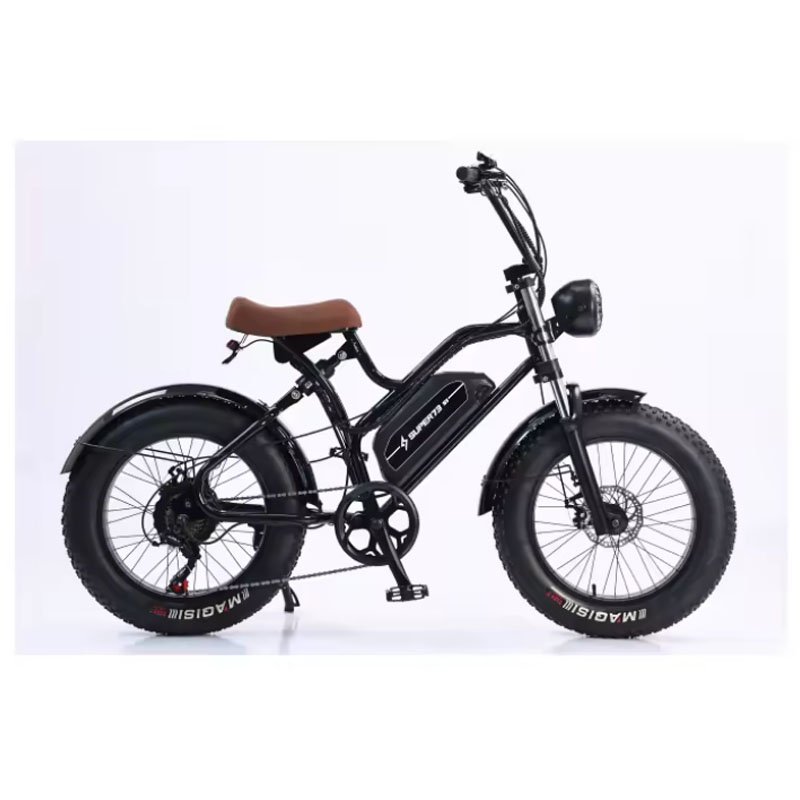 Hot Sale Logo Customized 48V 350w Electric Mountain Bike Fat Tire 20" Electric Road Pike 500W Electric Snow Bike 750w For Adult