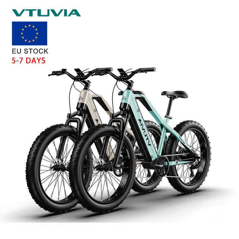 EU Warehouse Stock 1000w Dual Battery 26*4 Fat Tire Hub Motor Electric Bike Bicycle Ebike Factory Manufacturer