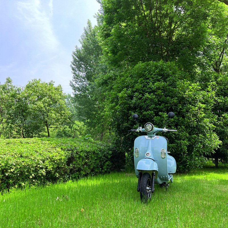 72V Large Capacity Lithium Battery Electric Sportbike 4000W Motorbike and Scooter Legal 48V Electric Moped