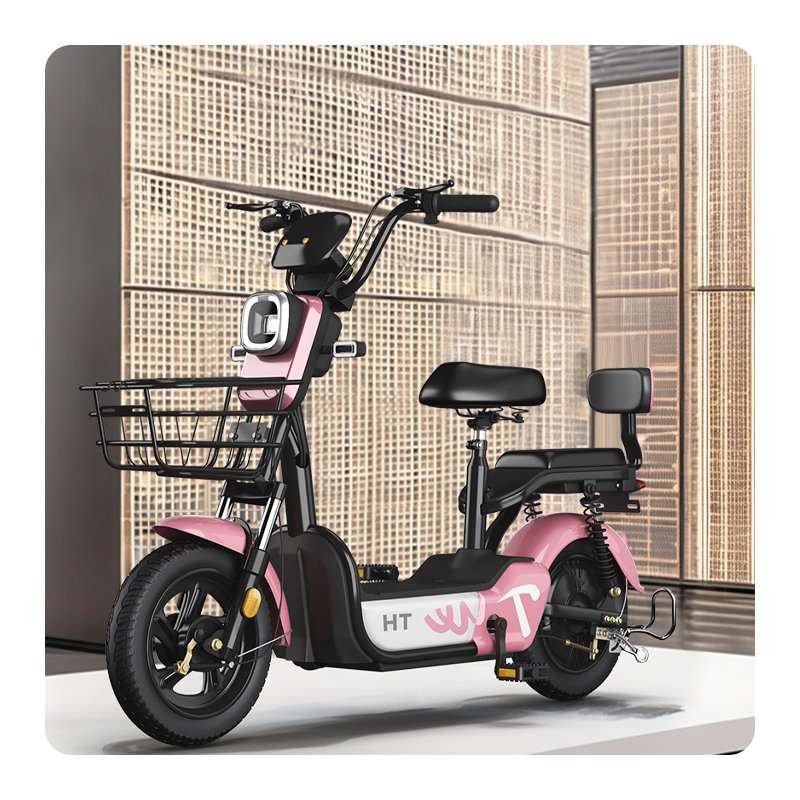 Paige Factory Wholesale 350W 48V Adult Electric City Bike Steel Frame Two-Wheeled Electric Scooter with Lead-Acid Battery