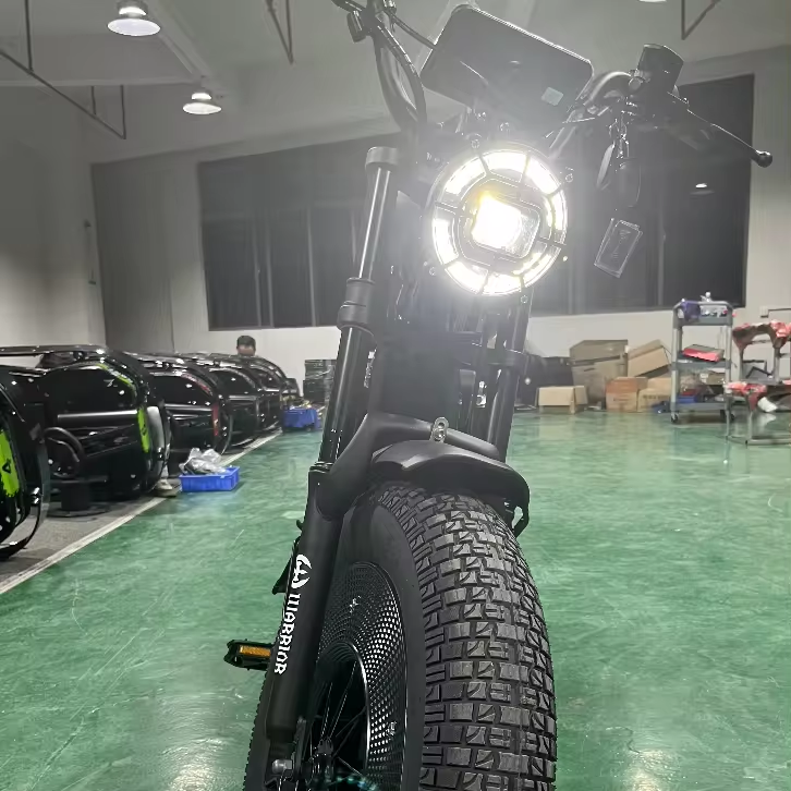New Style Electric Bike 1000W 48V 30AH 58AH Fat Tire ebike Electric Bicycle Mountain Snow City E-Bike