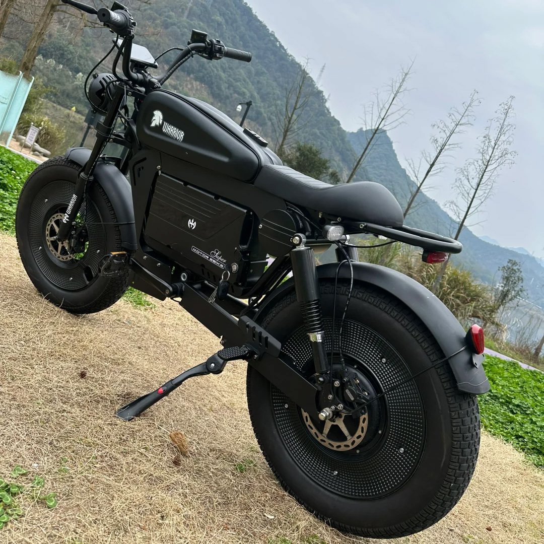 electric bike 20"x5.0 fat tire electric bicycle 1500W 48V electric mountain bike Black Warriors fatbike walfih ET-7
