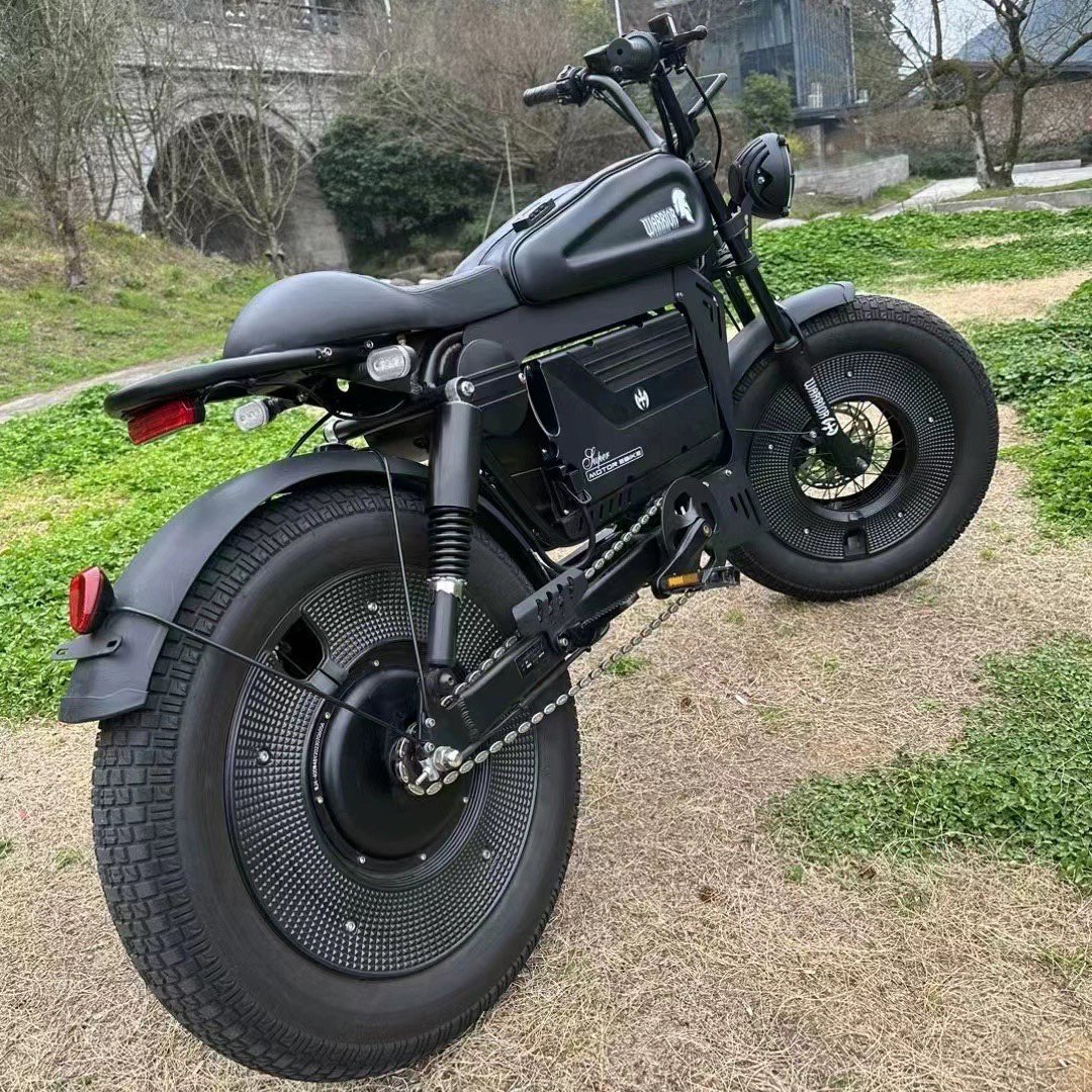 electric bike 20"x5.0 fat tire electric bicycle 1500W 48V electric mountain bike Black Warriors fatbike walfih ET-7
